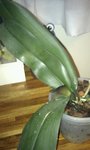 IMAG0039-1.jpg