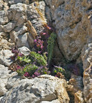 la photo est également ici :http://www.flickr.com/photos/rolandbouvier/5915609886/in/photostream