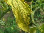 IMG_7578.JPG