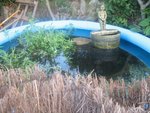 IMG_1007.JPG