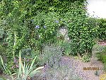 2011-07-08 cbre JMF x.jpg