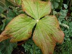 DSC01224.JPG