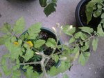Photo2766.jpg