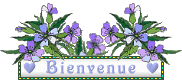 071bienv22.gif