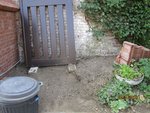 2011-07-12  fin travaux xb.jpg