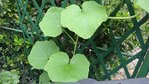 DSC00141B.jpg