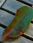 DSC_0019.jpg