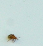 DSC_0021.JPG