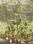DSCN0333.JPG