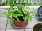 IMG_1680.JPG