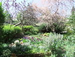 2011-04-09 13-21-05 - 0063.JPG