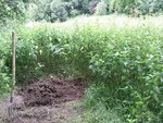 Photo0218.jpg