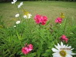 2011-07-17 x.jpg