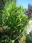 DSCN3563.JPG