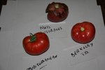 tomates.jpg