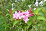 DSC_0048.jpg