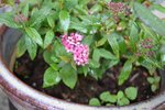 DSC_0046.jpg