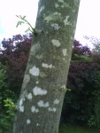 DSC00196.JPG