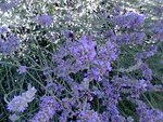 Photo016.jpg