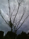 DSC00197.JPG