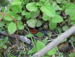DSCN3013.JPG