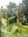 IMG_3135.jpeg