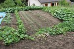 vue d'ensemble du jardin N°2