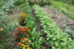 jardin N°2 -bas-.jpg