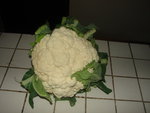 DSC02130.JPG