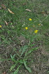 DSC_2849r256.jpg