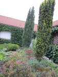 2011-07-26 bassin X.jpg