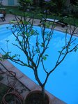 IMG_5608b.JPG