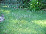 IMG_5611.JPG