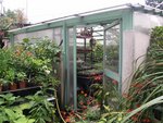 vue de l'extérieur, devant mur de 1m + plaques polycarbonate, les autres murs sont plus hauts, mais je n'avais pas le choix