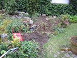 2011-07-29 fosse x.jpg