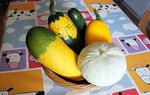 DSC09012.JPG