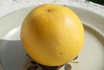 pomelo 10.jpg