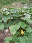 DSCN3319.JPG