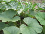 DSCN3320.JPG