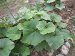 DSCN3321.JPG