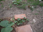 DSCN3327.JPG
