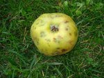 DSC01510.JPG