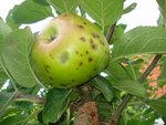 DSC01511.JPG