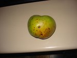 DSC01509.JPG