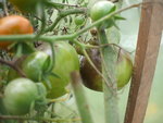 DSCF2439.JPG