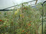 DSCF2448.JPG