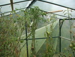 DSCF2449.JPG