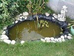 photo du bassin