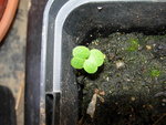 DSCN4334.JPG
