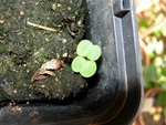 DSCN4335.JPG